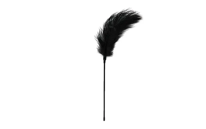 Fetish Collection Easy Toys Feather Tickler Black Anal Fetish Collection Easy Toys Feather Tickler Black Anal