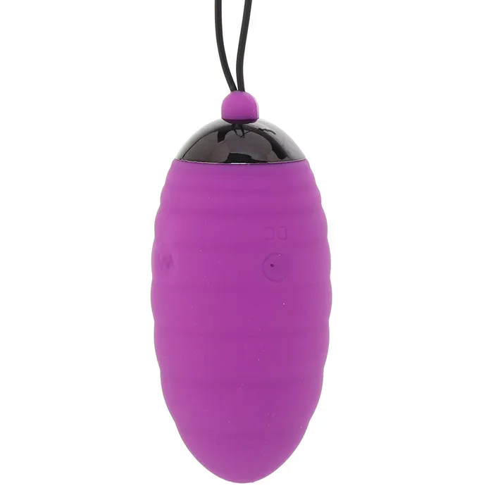 Doc Johnson Vibrators Ocean Breeze 20 Remote Egg Vibe in Purple