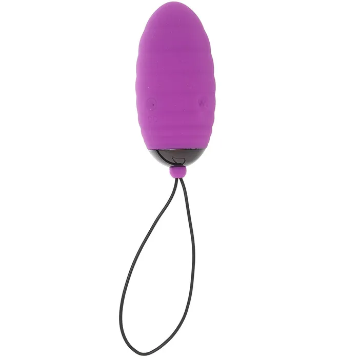Doc Johnson Vibrators Ocean Breeze 20 Remote Egg Vibe in Purple