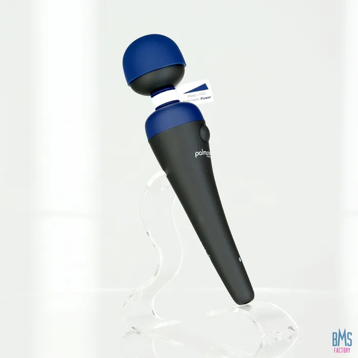 Vibrators PalmPower PalmPower Recharge Massage Wand Blue