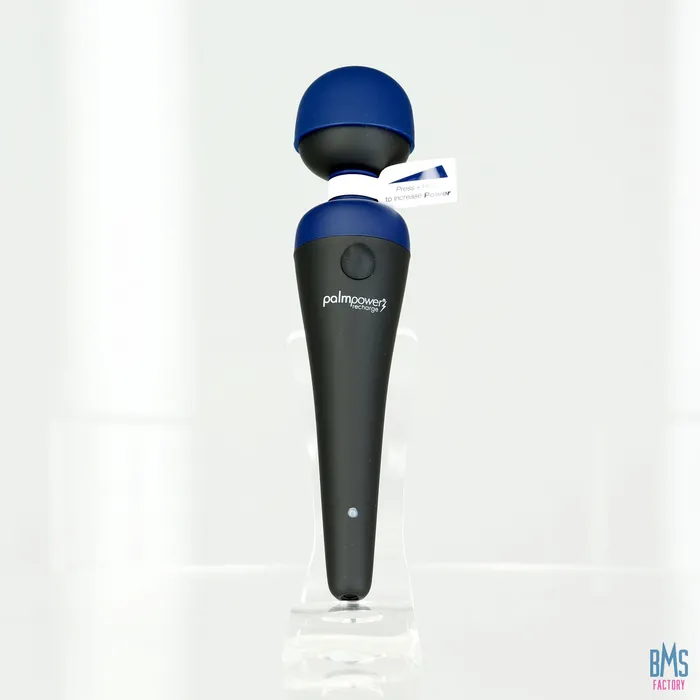 Vibrators PalmPower PalmPower Recharge Massage Wand Blue