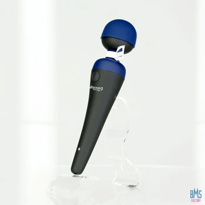 Vibrators PalmPower PalmPower Recharge Massage Wand Blue